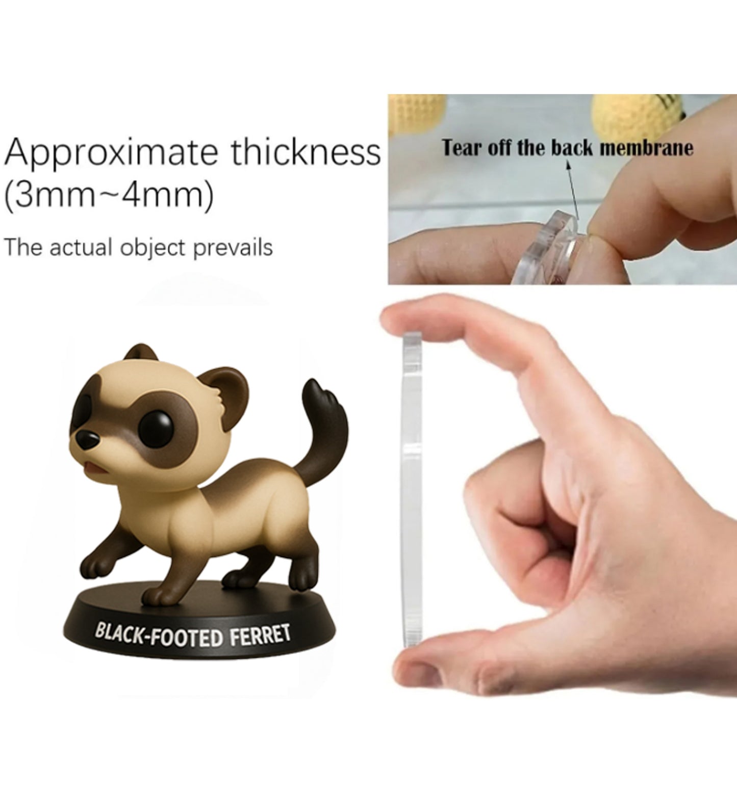 Extinct Species Advent Calendar 2025