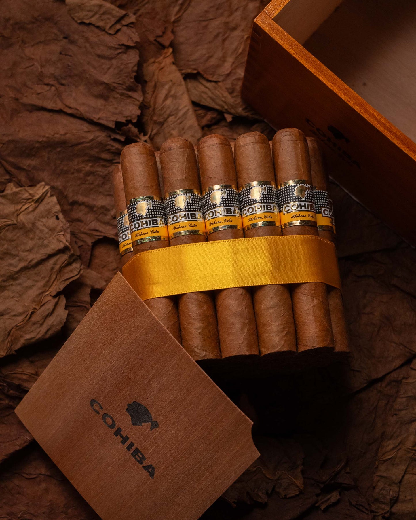 Cohiba Robustos (2020 Vintage)