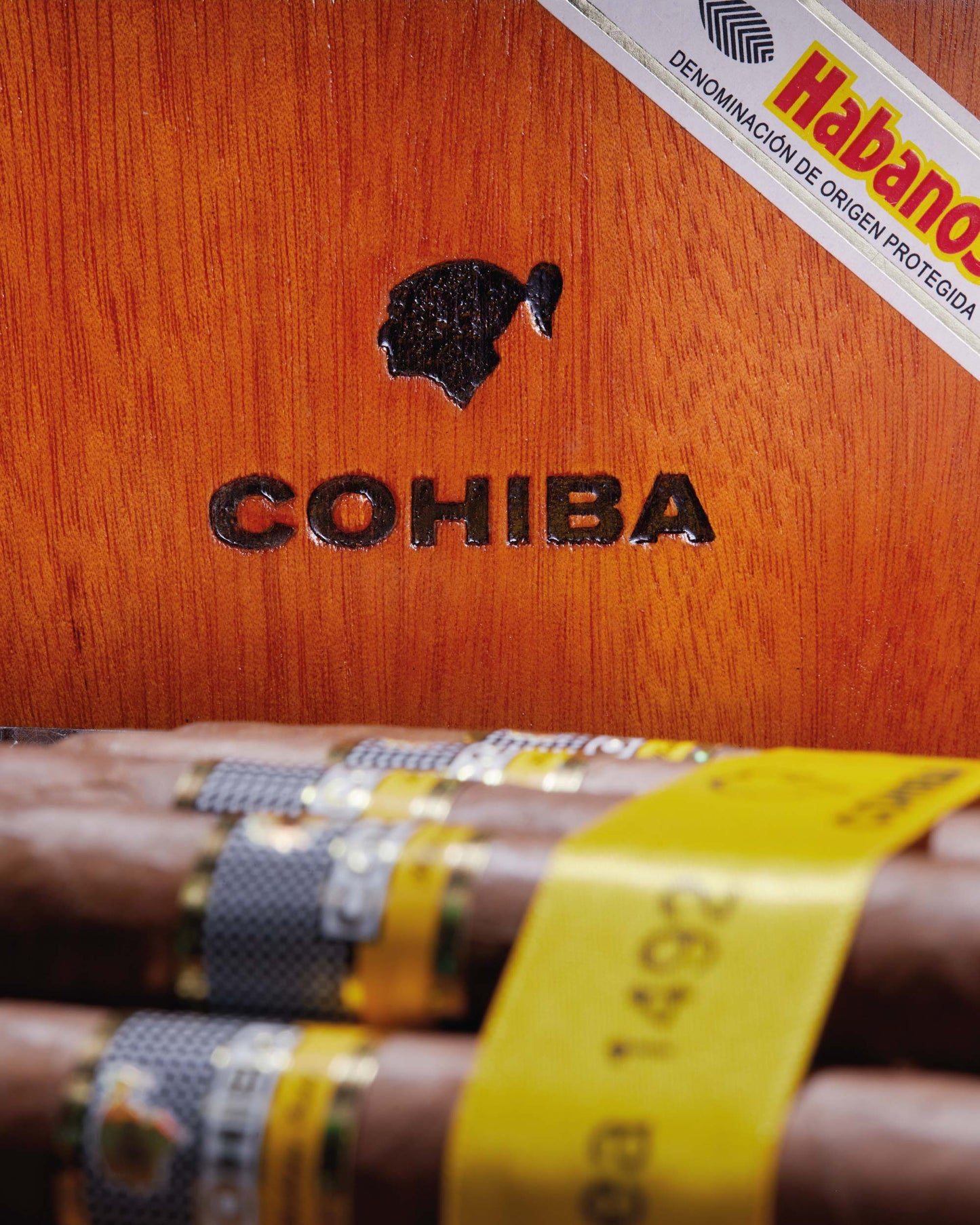 Cohiba Siglo VI (2020 Vintage)