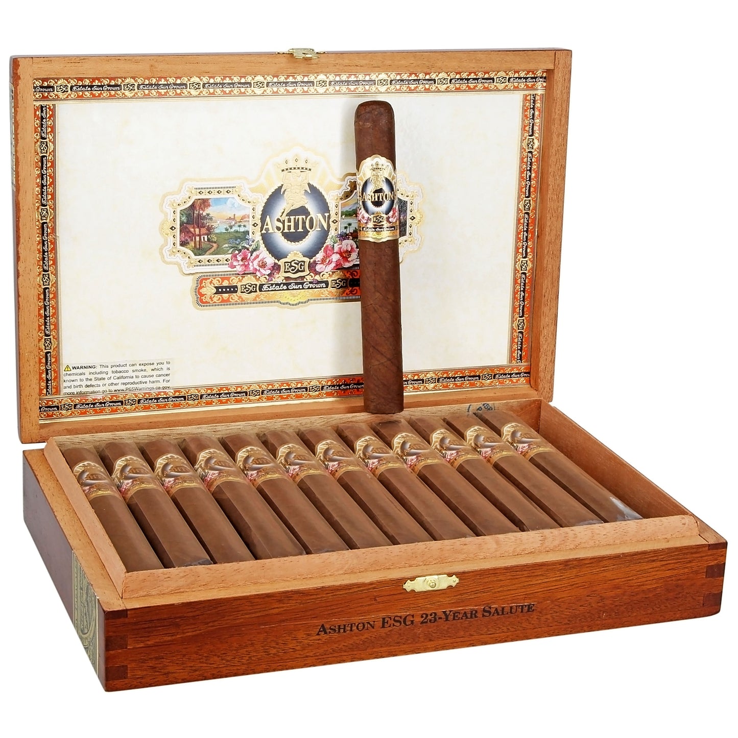 Ashton ESG 23 year salute (Toro)  box