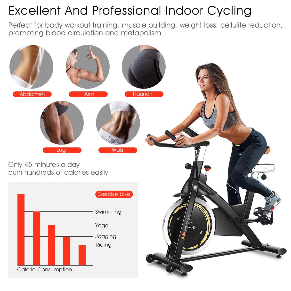 Indoor Cycling Bike, Stationary Bicycle with Flywheel and LCD Display