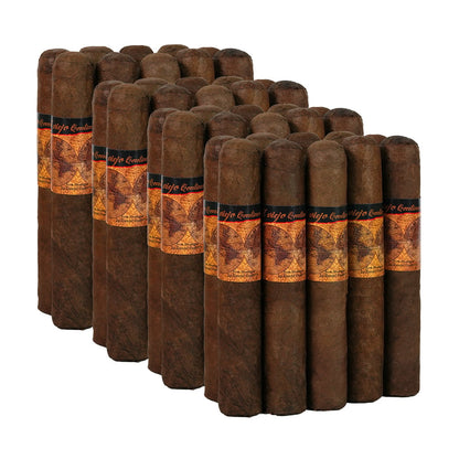 El Viejo Continente Robusto #52 (40 Sticks)