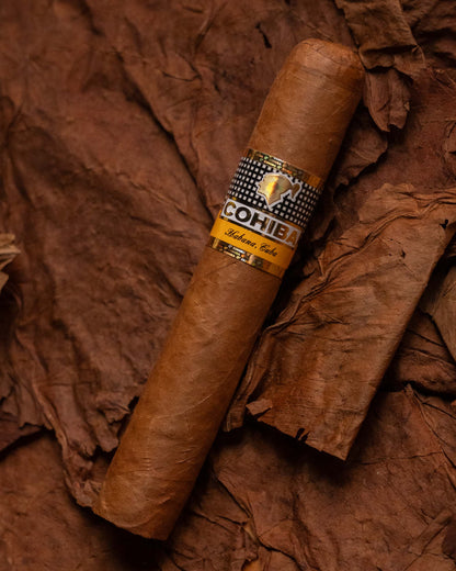 Cohiba Robustos (2020 Vintage)