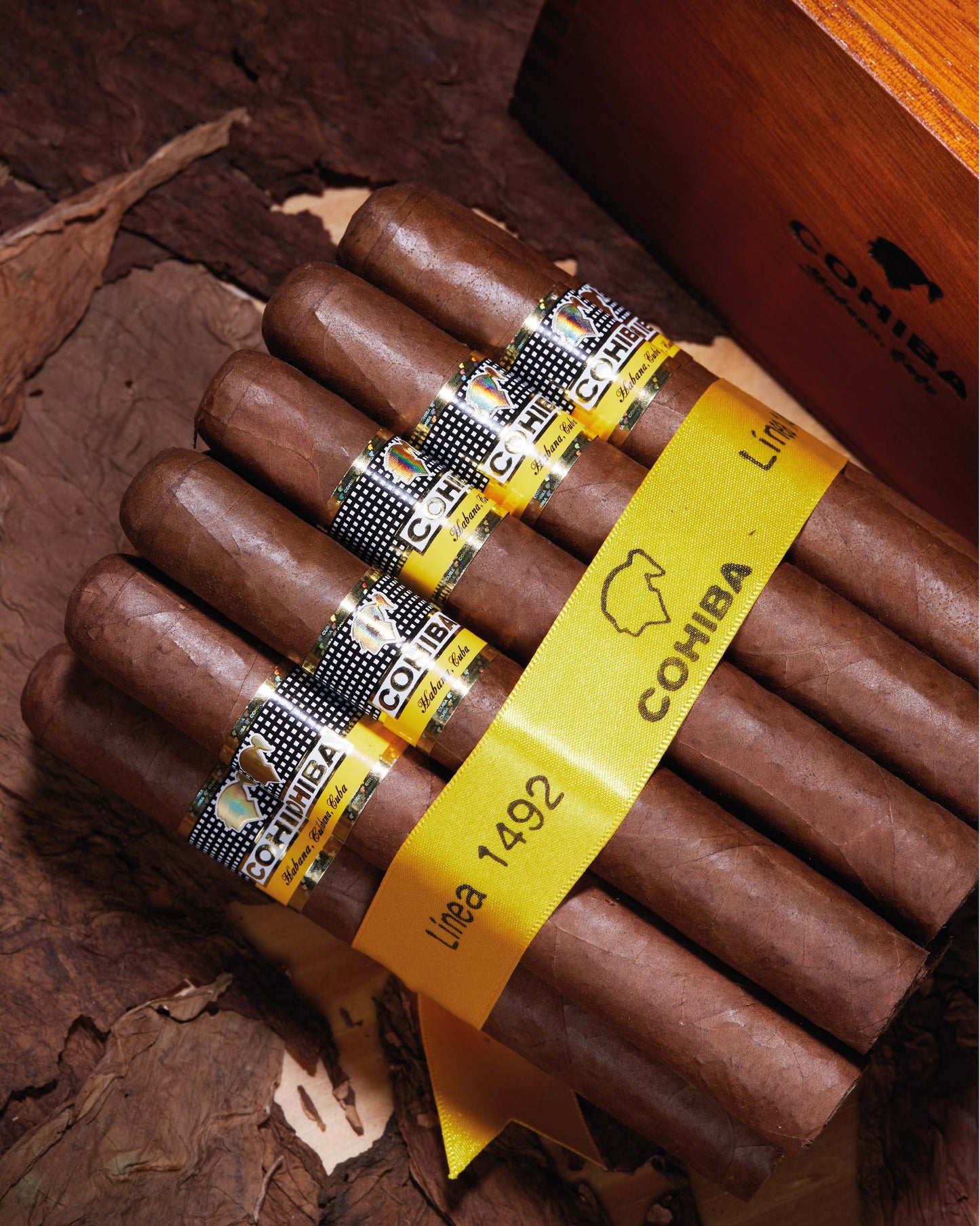 Cohiba Siglo VI (2020 Vintage)