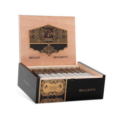 Esteban Carreras Hell Cat Hellcatito