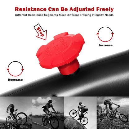 Indoor Cycling Bike, Silent Belt Drive Exercise Bike with Phone Holder