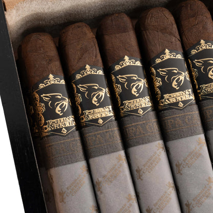 Esteban Carreras Hell Cat Hellcatito