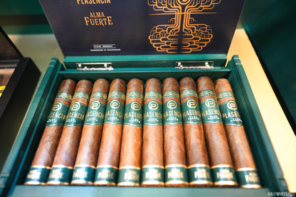 Plasencia Alma Fuerte Robustus ll Natural Box (10 pieces per box)