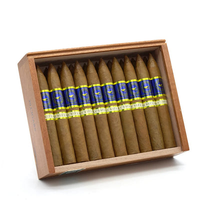 Casa Nicaragua Azul Torpedo